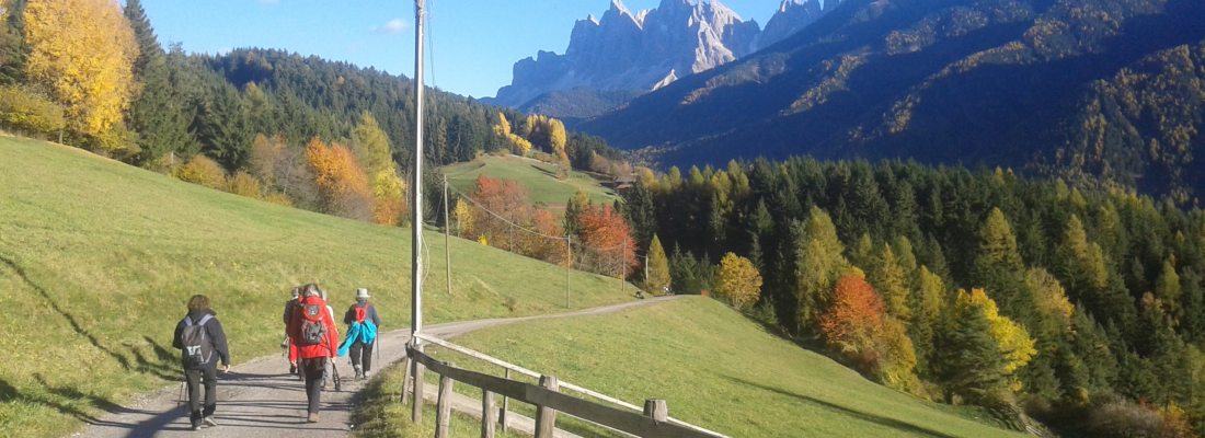 Goldener Herbst hier bei uns!